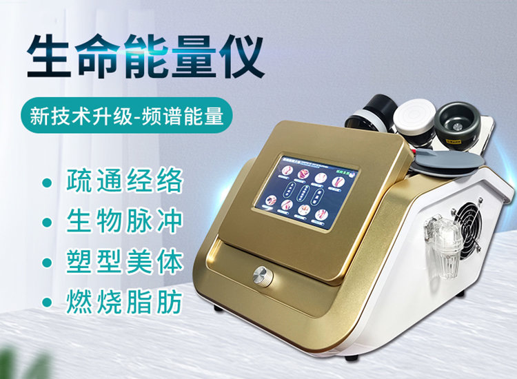 升級(jí)款生命能量儀